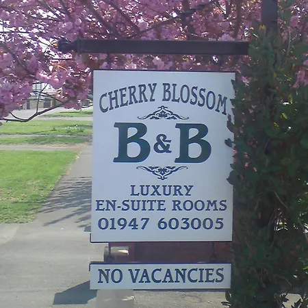 Cherry Blossom Whitby