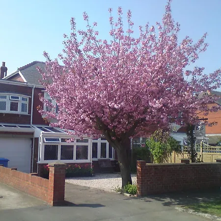 Bed and Breakfast Cherry Blossom 3*